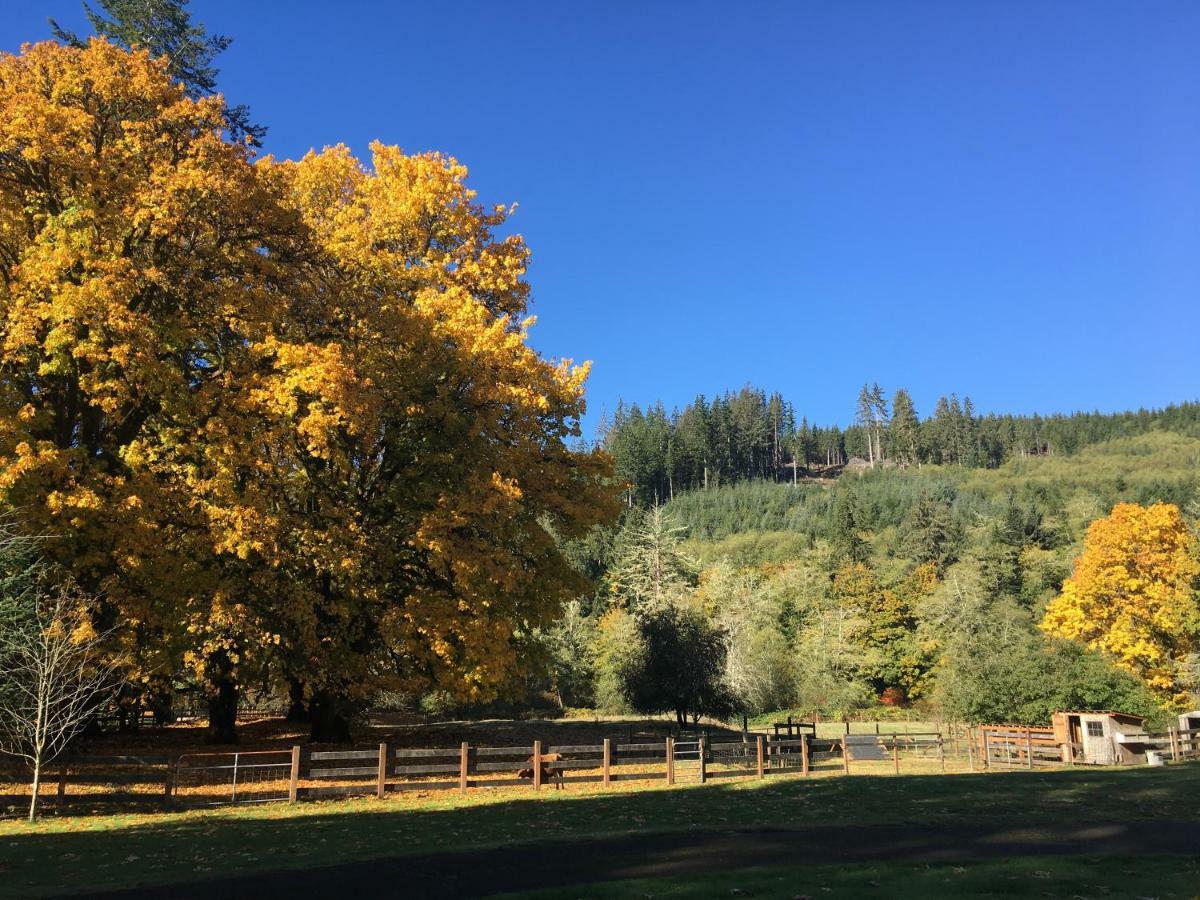 The Cabins At Beaver Creek ภายนอก รูปภาพ